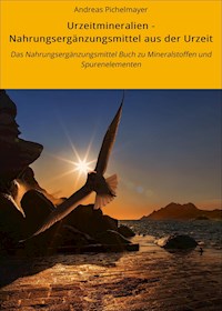 Urzeitmineralien - Nahrungsergänzungsmittel aus der Urzeit - Andreas Pichelmayer - ebook