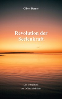Revolution der Seelenkraft - Oliver Berner - ebook