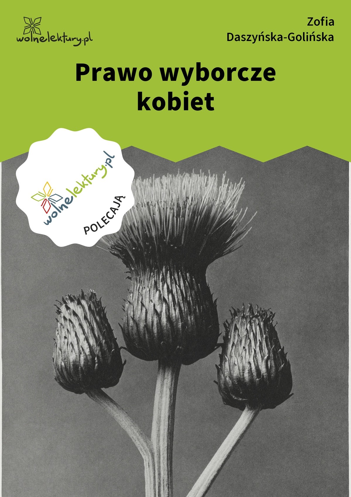 Prawo wyborcze kobiet