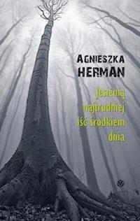 Jesienią najtrudniej iść środkiem dnia - Agnieszka Hermann - ebook
