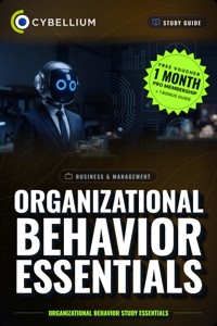 Organizational Behavior Essentials - Cybellium - ebook