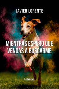 Mientras espero que vengas a buscarme - Javier Lorente - ebook