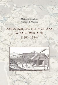 Zarys dziejów huty żelaza w Ząbkowicach (1763-1794) - Siembab Mateusz, Wójcik Andrzej J. - książka