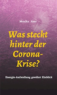 Was steckt hinter der Corona-Krise? - Monika Auer - ebook