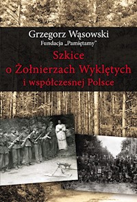 Szkice o Żołnierzach Wyklętych i współczesnej Polsce - Wąsowski Grzegorz - książka