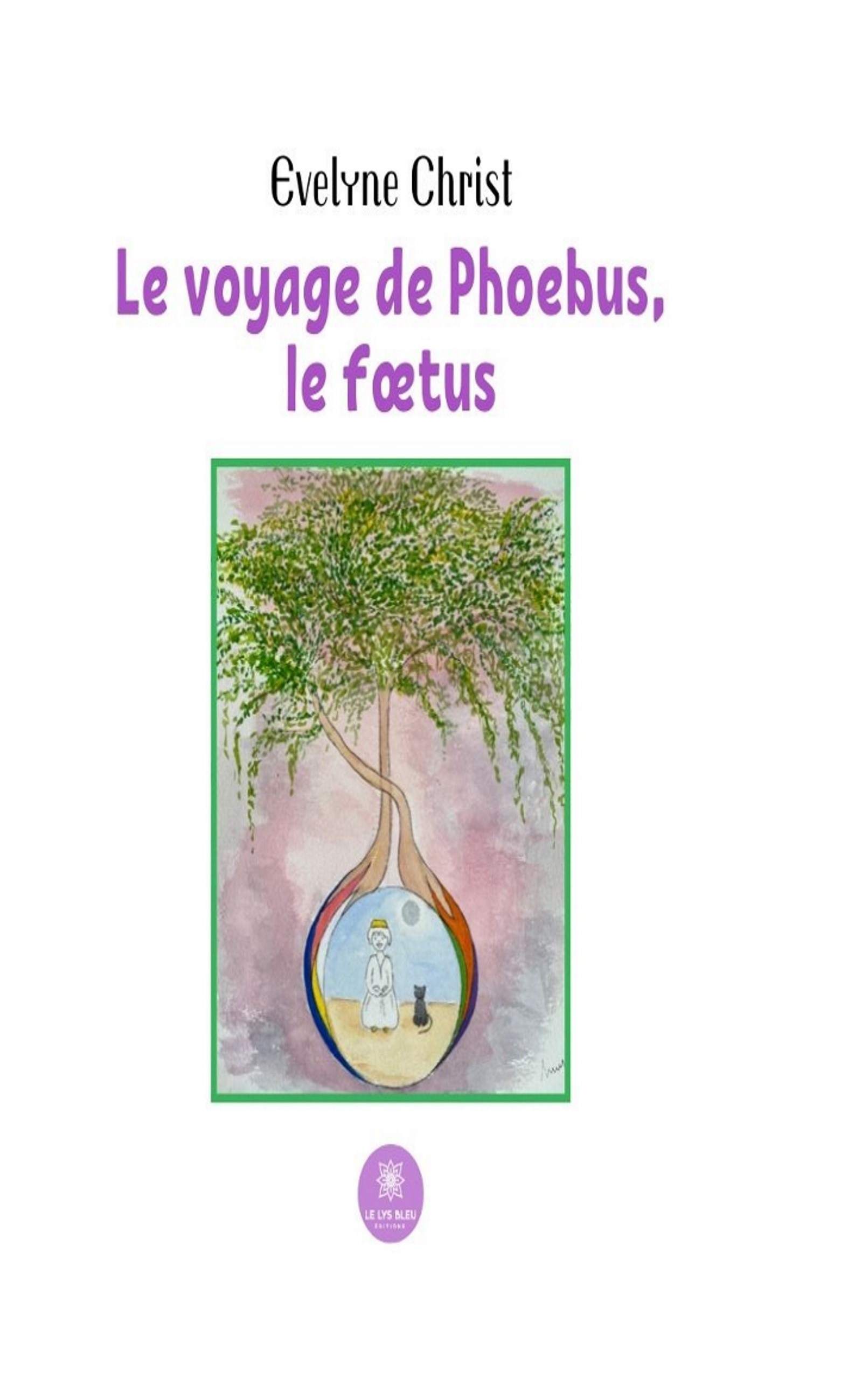 Le voyage de Phoebus, le fœtus
