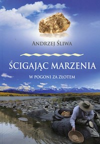 Ścigając marzenia W pogoni za złotem - Andrzej Śliwa - książka