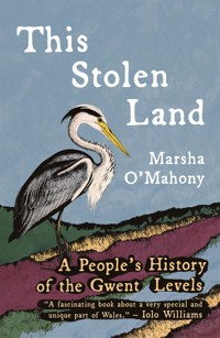 This Stolen Land - Marsha O'Mahony - ebook