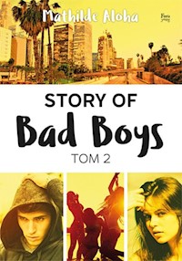 Story of Bad Boys Tom 2 - Mathilde Aloha - książka