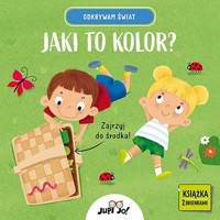 Jaki to kolor? Odkrywam świat - Magdalena Młodnicka - książka