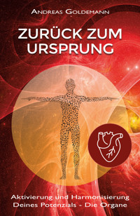 Zurück zum Ursprung Bd. 2 - Andreas Goldemann - ebook