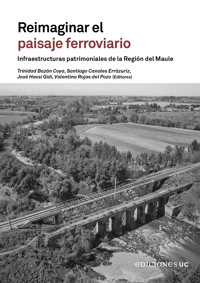 Reimaginar el paisaje ferroviario - Trinidad Bazán - ebook