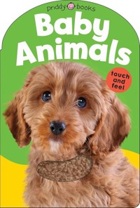 Baby Animals -  - książka