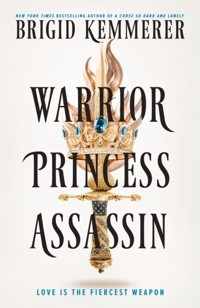 Warrior Princess Assasin - Brigid Kemmerer - książka