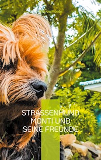 Straßenhund Monti und seine Freunde - Rita de Monte - ebook