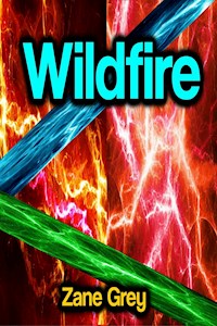 Wildfire - Grey Zane - ebook