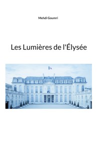Les Lumières de l'Élysée - Mehdi Goumri - ebook