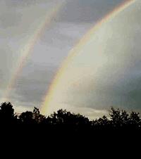 Abschied und Neubeginn - Brushwood Mikel - ebook