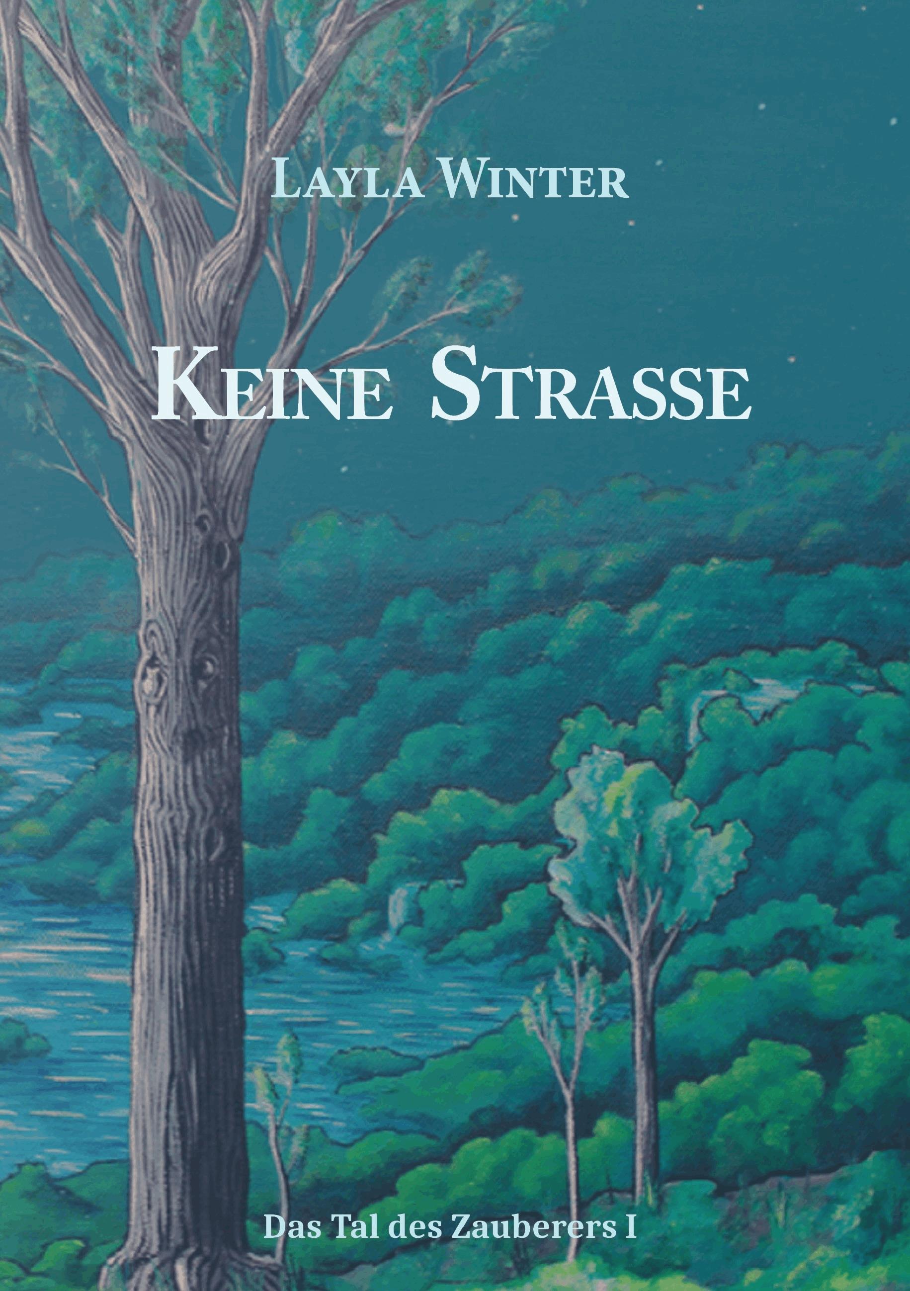 Keine Strasse