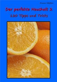 Der perfekte Haushalt 2 - Alina Steffen - ebook