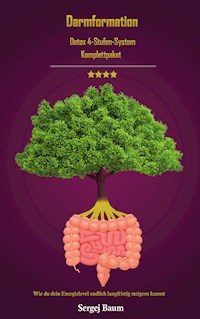 Darmformation - Sergej Baum - ebook