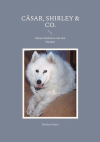 Cäsar, Shirley & Co. - Michael Moos - ebook
