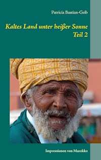 Kaltes Land unter heißer Sonne (Teil 2) - Patricia Bastian-Geib - ebook
