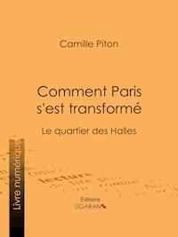 Comment Paris s'est transformé - Camille Piton - ebook