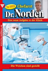 Die Weichen sind gestellt - Vandenberg Patricia - ebook