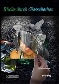 Blicke durch Glasscherben - Erwin Sittig - ebook