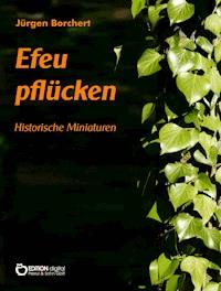 Efeu pflücken - Jürgen Borchert - ebook