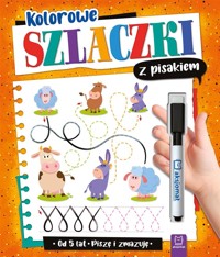 Kolorowe szlaczki z pisakiem Piszę i zmazuję 5 lat - Anna Podgórska - książka