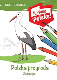 Kolorowanka Polska przyroda zwierzęta - Kiełbasiński Krzysztof - książka