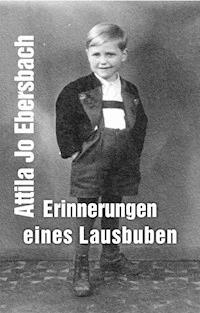 Erinnerungen eines Lausbuben - Attila Jo Ebersbach - ebook