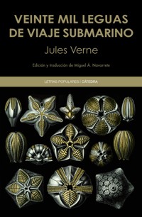 Veinte mil leguas de viaje submarino - Jules Verne - ebook