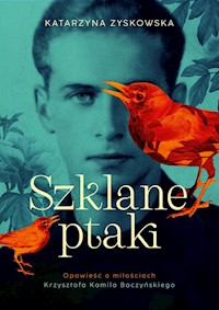 Szklane ptaki - Zyskowska Katarzyna - książka