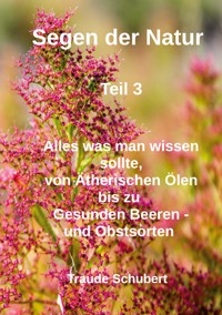 Segen der Natur - Teil 3 - Traude Schubert - ebook