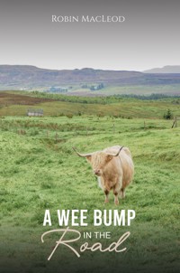 A Wee Bump in the Road - Robin MacLeod - ebook