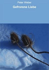 Gefrorene Liebe - Peter Weber - ebook
