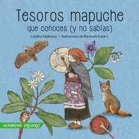 Tesoros Mapuche - Carolina Valdivieso - ebook