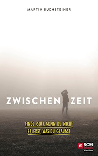 Zwischenzeit - Martin Buchsteiner - ebook