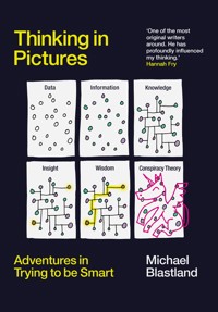 Thinking in Pictures - Michael Blastland - ebook