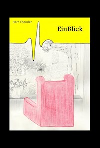 EinBlick - Herr Thönder - ebook