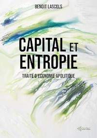 Capital et entropie - Benoit Lascols - ebook