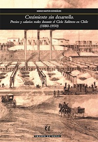 Crecimiento sin desarrollo - Mario Matus González - ebook