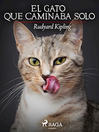 El gato que caminaba solo - Rudyard Kipling - ebook