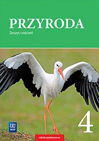 Przyroda 4 Zeszyt ćwiczeń - Gromek Ewa, Kłos Ewa, Kofta Wawrzyniec - książka