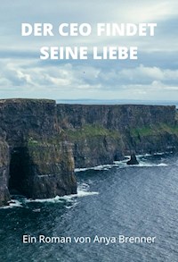 Der CEO findet seine Liebe - Anya Brenner - ebook