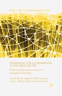 Organizing for Coordination in the Public Sector - - ebook