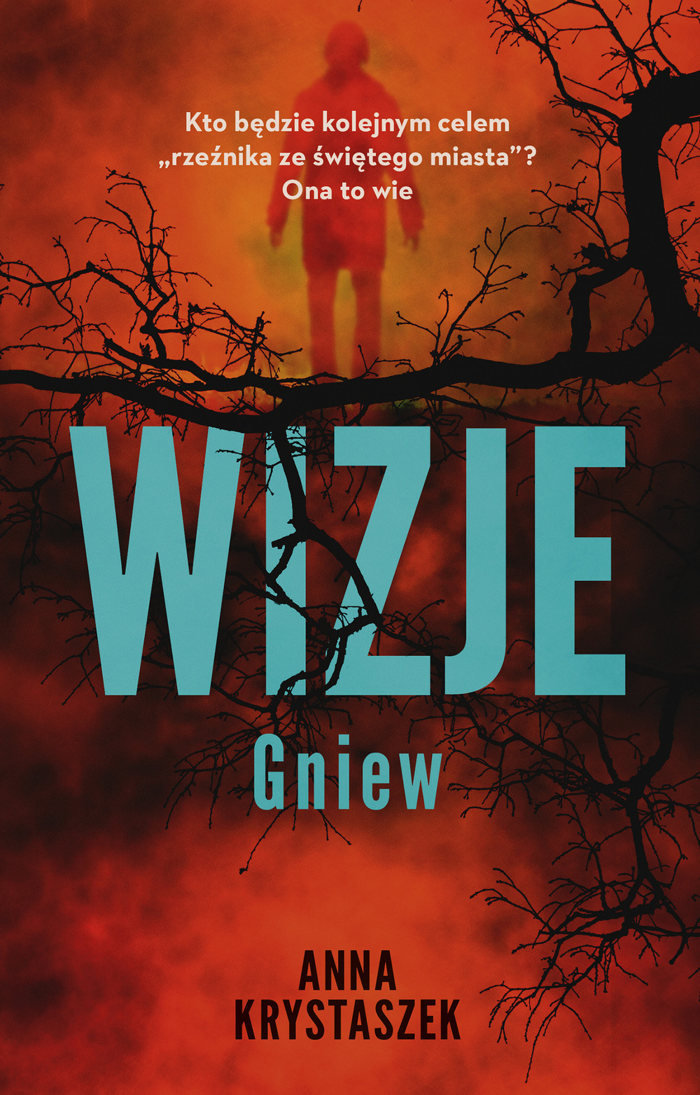 Wizje - Anna Krystaszek - ebook + książka